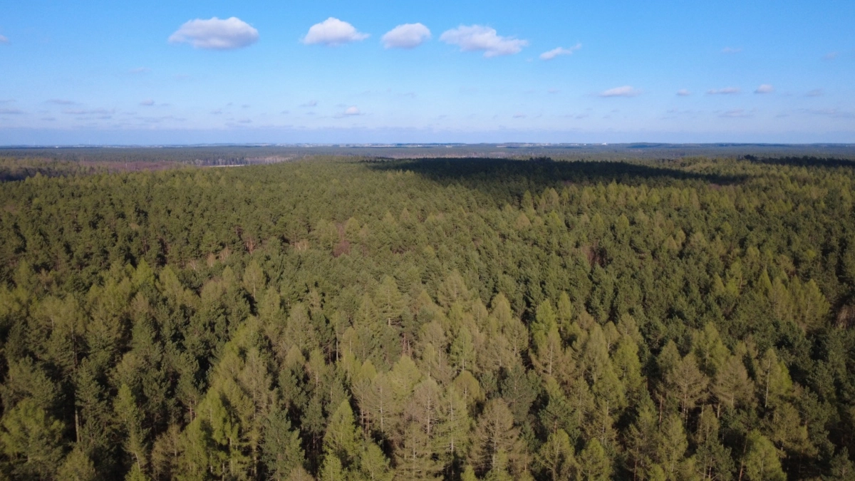 Działka